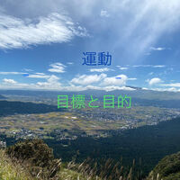 画像1378